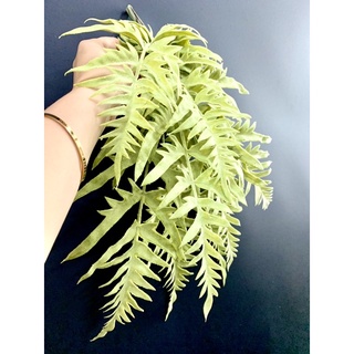 🌿模擬觀葉植物🌿 攝影道具擺飾ZAKKA雜貨~家居擺飾～乾燥花～人造花～婚禮小物❤️情人節禮物～畢業🎓花禮