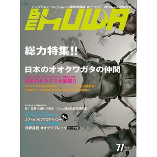 <現貨> 日本 Bekuwa 甲蟲 雜誌 No.71 獨角仙 鍬形蟲 全新