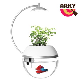 ARKY 香草與魚X智能版Herb&Fish X Connect