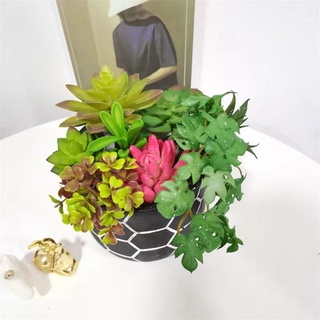 摩登時尚一派 多肉模擬 植物組合 模擬綠植 DIY盆栽 插花 桌面 茶幾 墻面 裝飾品 網紅