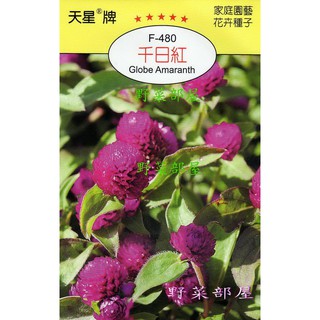 【萌田種子~】Y37 千日紅Globe Amaranth~穗耕種苗~天星牌種子~