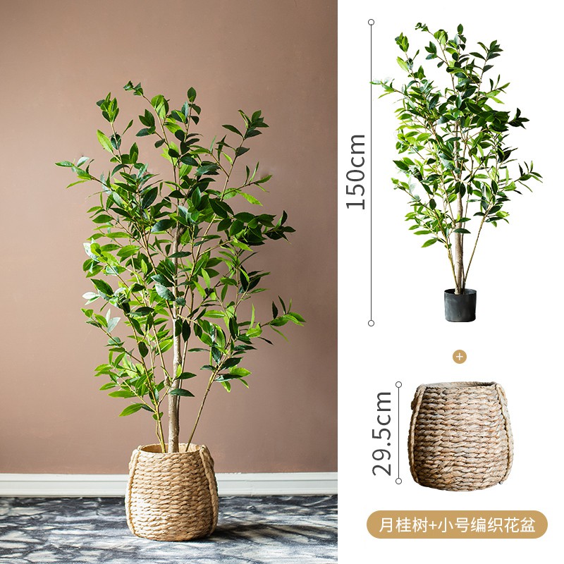 月桂樹大型仿真植物綠植盆栽客廳盆景ins風樣板房裝飾擺件 蝦皮購物