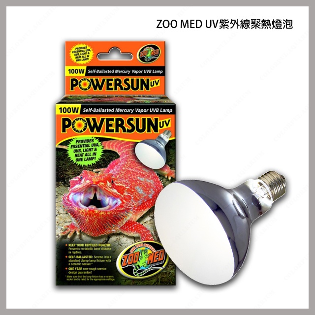 多彩雲水族⛅美國 ZOO MED《UV 紫外線聚熱燈泡》100W、160W，UVA、UVB，爬蟲、烏龜 保溫燈泡、加熱器