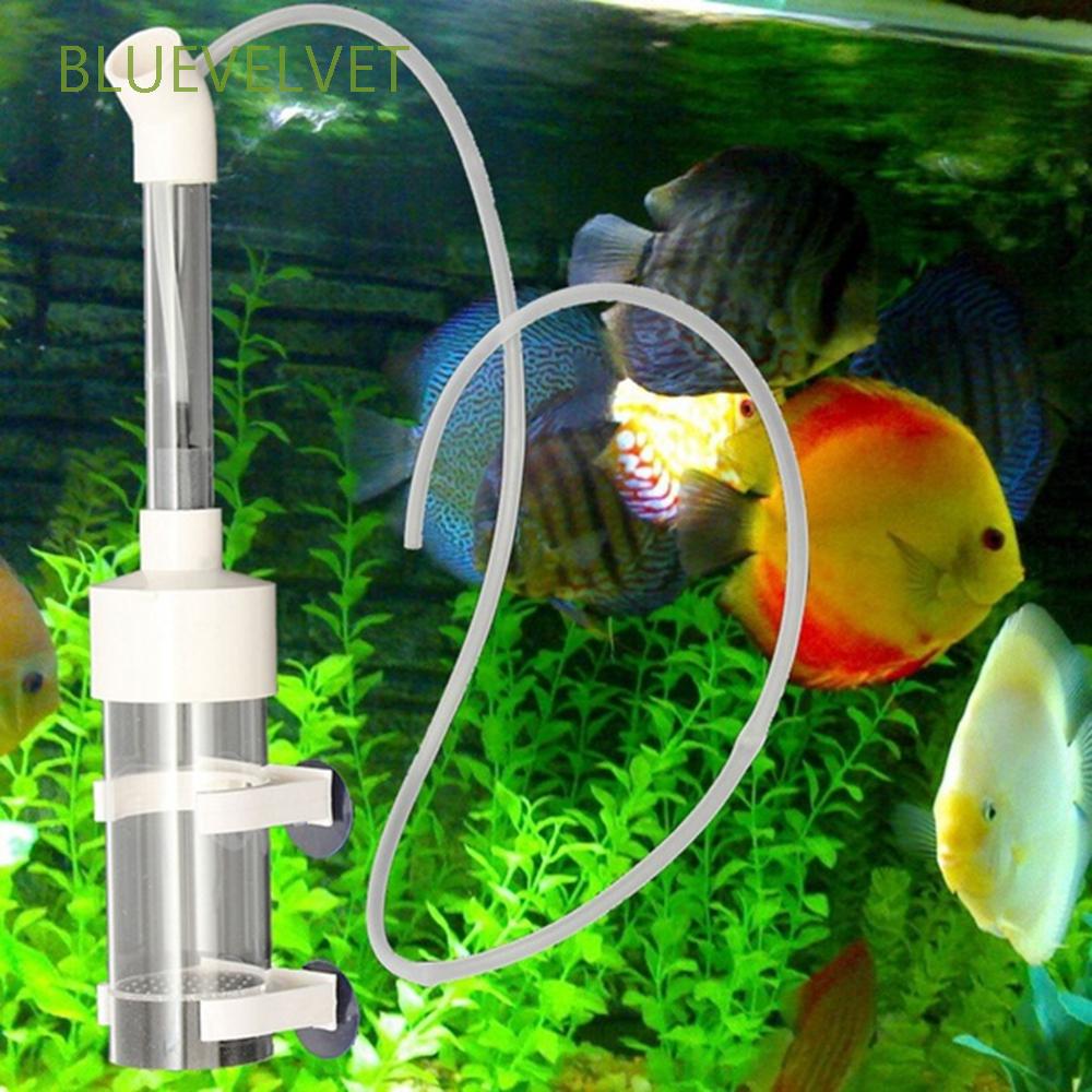 魚卵孵化器 拍賣 評價與ptt熱推商品 21年6月 飛比價格