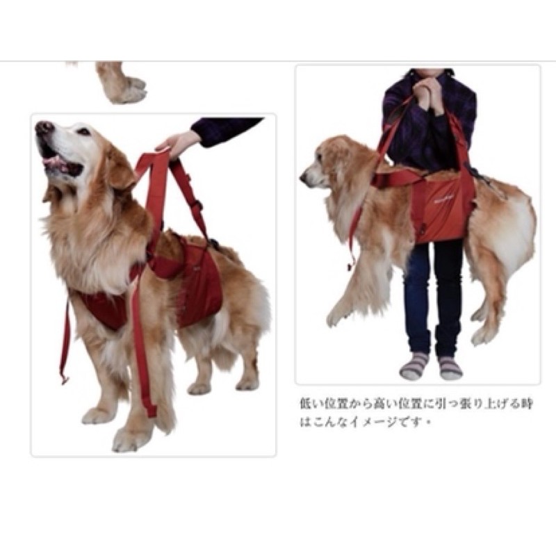 日本老犬輔助戒護背帶 蝦皮購物