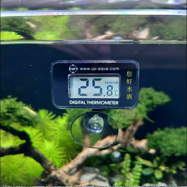 雅柏UP沈水數位式溫度計[附電池]大螢幕顯示 水族溫度計 攝氏沉水式 數位溫度計 電子溫度計 大數字溫度計 ❦您好水族❦