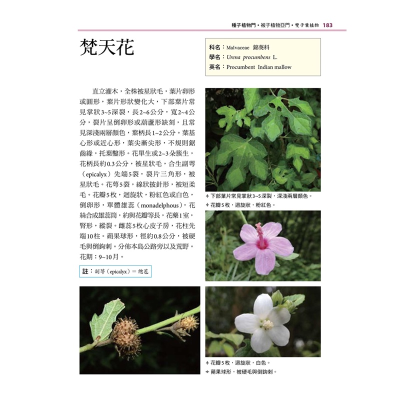 新細說台灣原生植物 折 Taaze讀冊生活網路書店 蝦皮購物