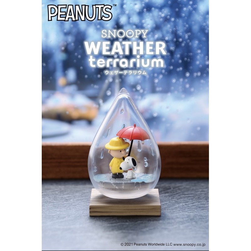 截止預購 日本re Ment 史努比snoopy Weather Terrarium 盒玩一套全6款 蝦皮購物