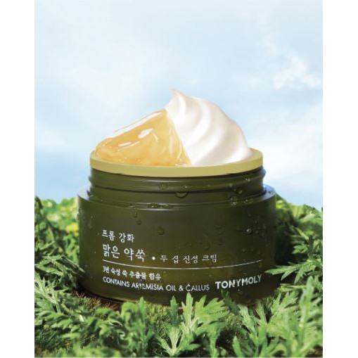Tonymoly From Ganghwa Artemisia Two Layer Soothing Cream