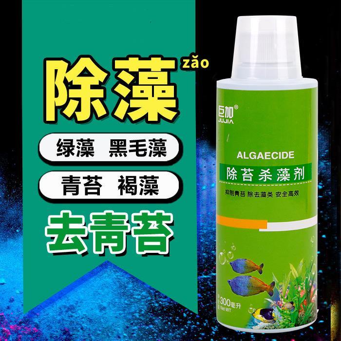 芸苔 優惠推薦 21年10月 蝦皮購物台灣