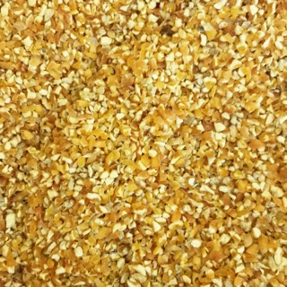 新鮮現貨/ 玉米碎粒/小雞 鴨 魚 鵝 鴿子 鸚鵡飼料/600g/1斤