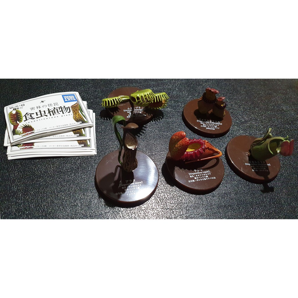 Takara Tomy Art 不思議生物大百科食蟲植物扭蛋絕版全套非奇譚 Yujin原色 蝦皮購物