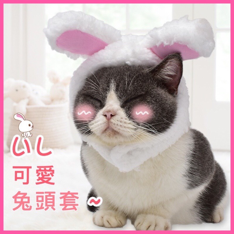 台灣🇹🇼現貨 24H出貨 兔子 頭套 狗狗頭套 貓咪頭套 寵物帽子 寵物帽 兔子耳朵 貓頭套 貓咪玩具 貓玩具 寵物玩具