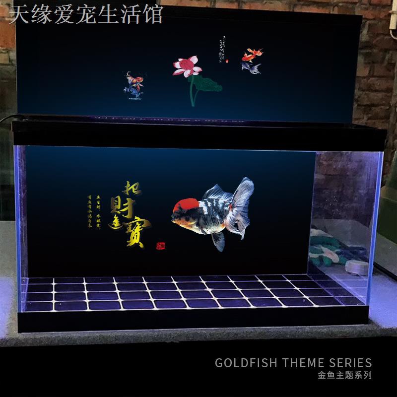 現貨 定制訂做金魚魚缸蘭壽泰獅鵝頭紅金魚背景貼紙造景壁畫3d效果立體 蝦皮購物