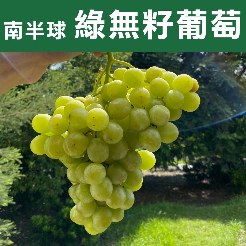 (免運) 南半球綠無籽葡萄 每包1KG 水果禮盒 綠葡萄｜水果狼FRUITMAN