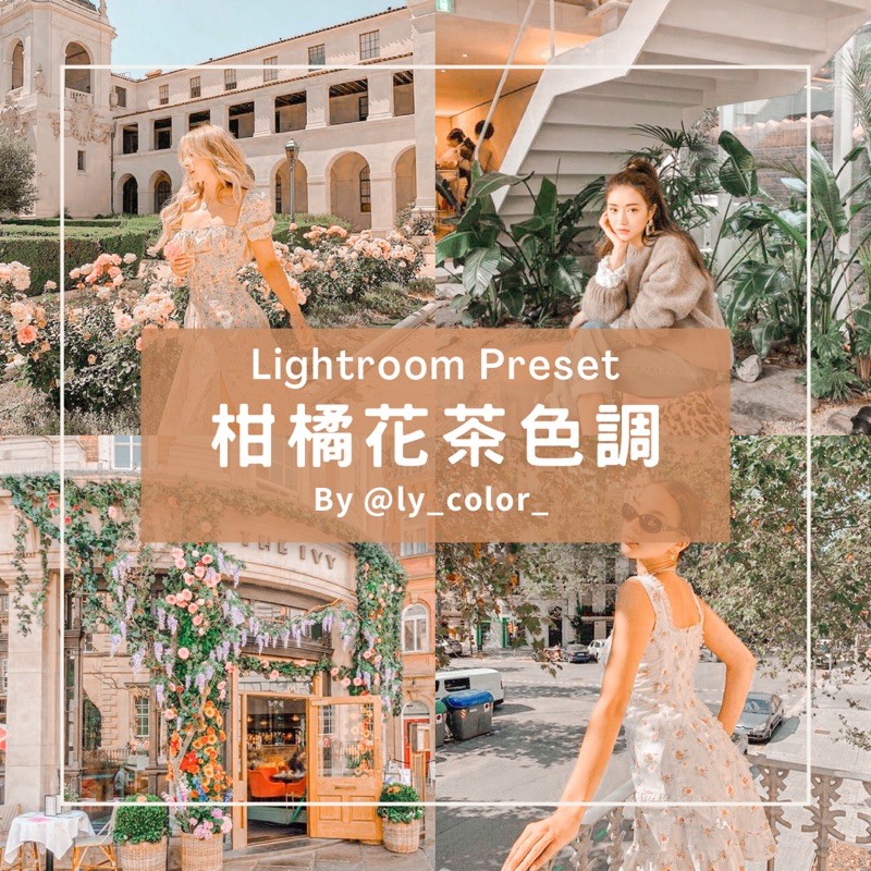 柑橘花茶 優惠推薦 21年11月 蝦皮購物台灣