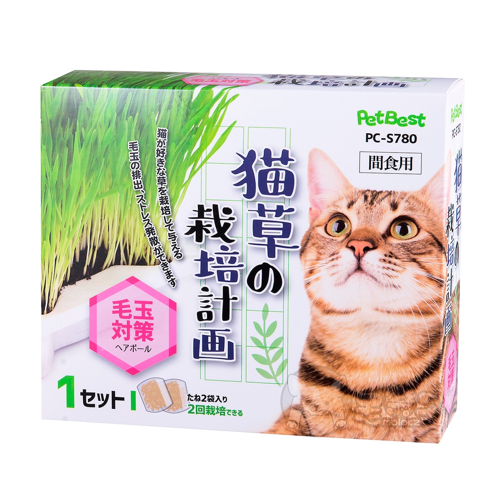 PetBest 貓草 DIY 種貓草 貓草裁培計畫 新鮮貓草 貓草種子 盒裝