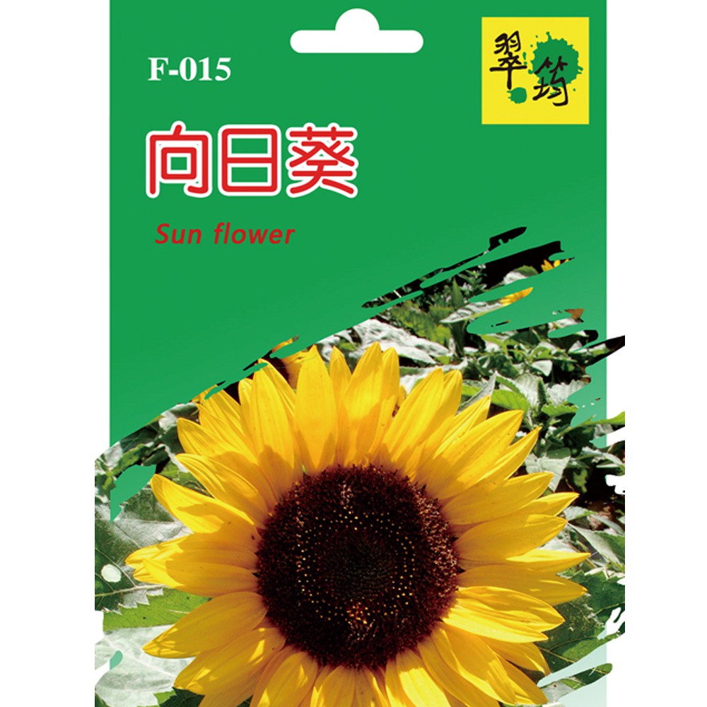 花卉種籽向日葵五彩石竹種子種籽種苗苗菜園菜圃園藝花卉水果diy 樂趣多 蝦皮購物