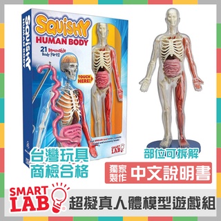《好玩伴》(現貨獨家中文說明書)美國SmartLab 人體模型遊戲組 Squishy Human Body 科學教具玩具