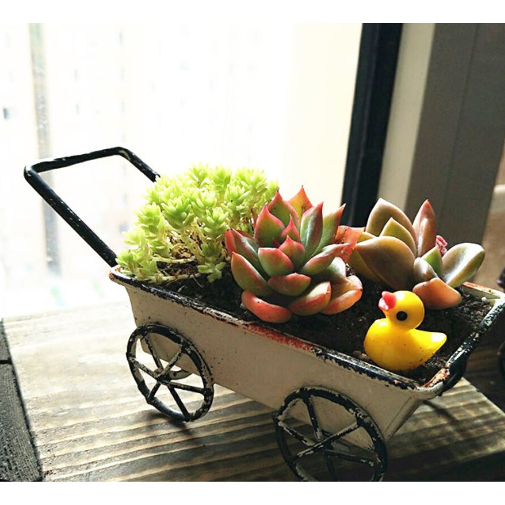 Carmo紅 白 藍仿舊推車多肉花盆盆栽 單個 收納盒 Me003 蝦皮購物