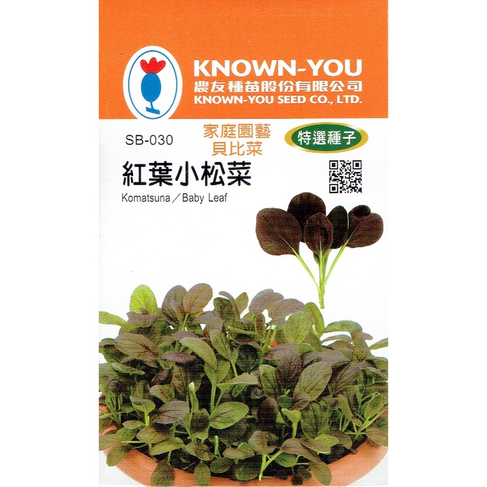 尋花趣紅葉小松菜 貝比菜種子 Baby菜種子整年可播種天即可採收辦公室或單身的最佳選擇 蝦皮購物