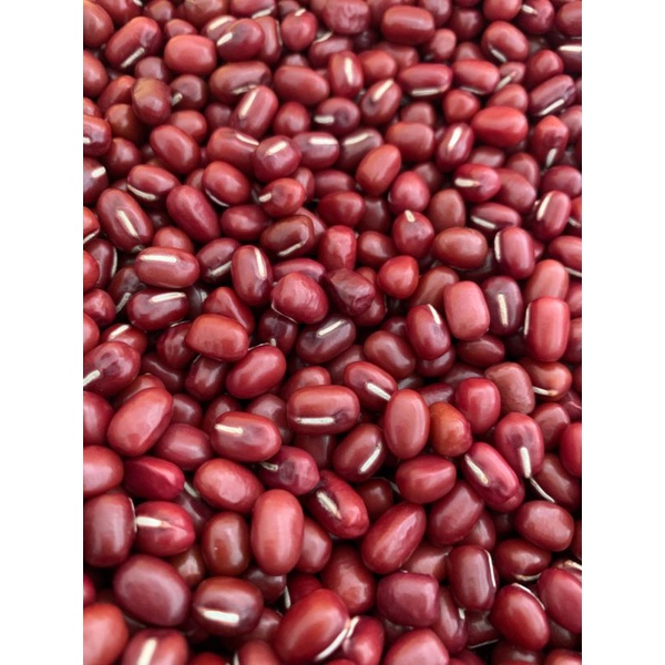 2024優惠價萬丹紅豆9號紅豆新鮮小農種植台灣產