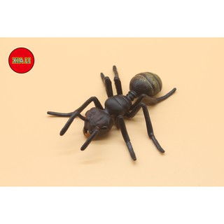 【現貨】兒童科教模擬實心螞蟻動物模型 整蠱玩具昆蟲擺件沙盤場景萬聖節蜘蛛套裝 早教認知禮物