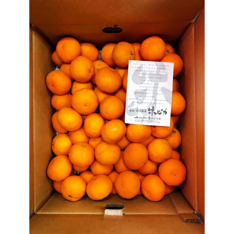 ✈️日本愛媛空運來台🇯🇵 頂級「味ピカ」蜜柑（一口柑）🍊原封箱📦免運優惠中🥳