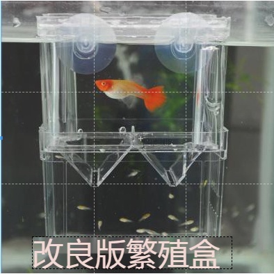 優惠孔雀魚繁殖盒魚缸隔離箱產子罐產箱母魚生小魚分離產房大孵化器 蝦皮購物