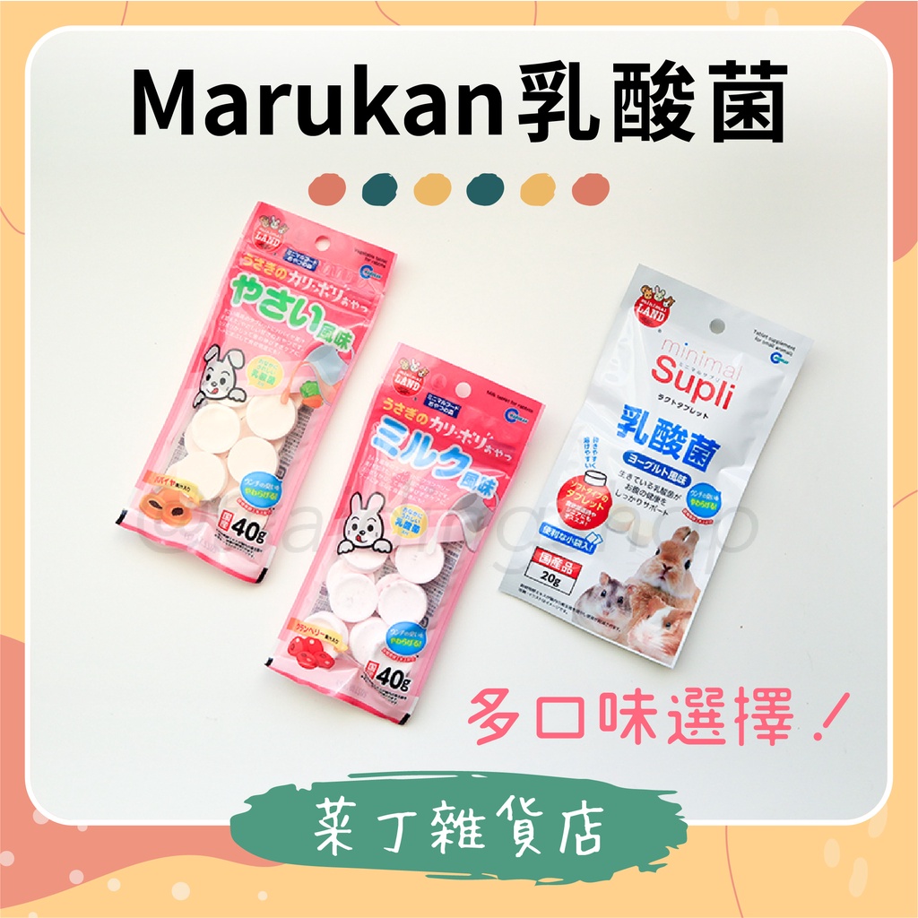 菜丁 台灣現貨日本馬卡marukan乳酸菌supli乳酸菌風味倉鼠兔子天竺鼠保健品益生菌整腸 蝦皮購物
