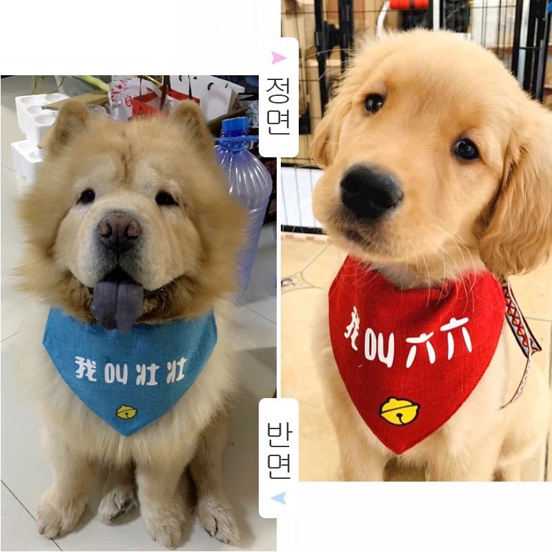 鬆獅犬口水巾 拍賣 評價與ptt熱推商品 21年5月 飛比價格