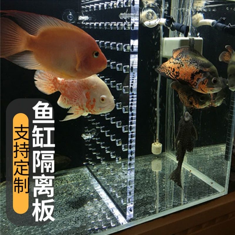 台灣熱銷 海藍色腰果石原生魚缸造景裝飾水族箱布景水晶玻璃石熒光磨砂底砂 蝦皮購物