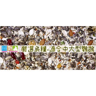 鸚鵡綜合飼料/巴丹/灰鸚鵡/和尚/月輪/藍亞仕/金太陽/老鼠飼料/金剛鸚鵡/中大型鸚鵡飼料/天竺鼠/穀物/葵花籽/辣椒
