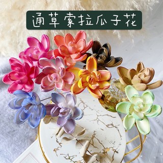 第6頁台南乾燥花材的價格推薦 2021年11月 比價撿便宜
