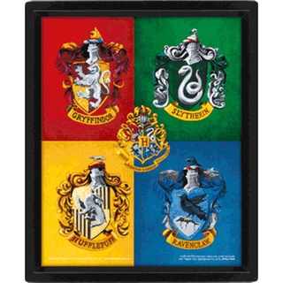 哈利波特 霍格華茲學院3D立體海報(含框) Harry Potter