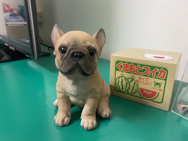 全新現貨 わくわく花園 法國鬥牛犬動物擺飾 蝦皮購物