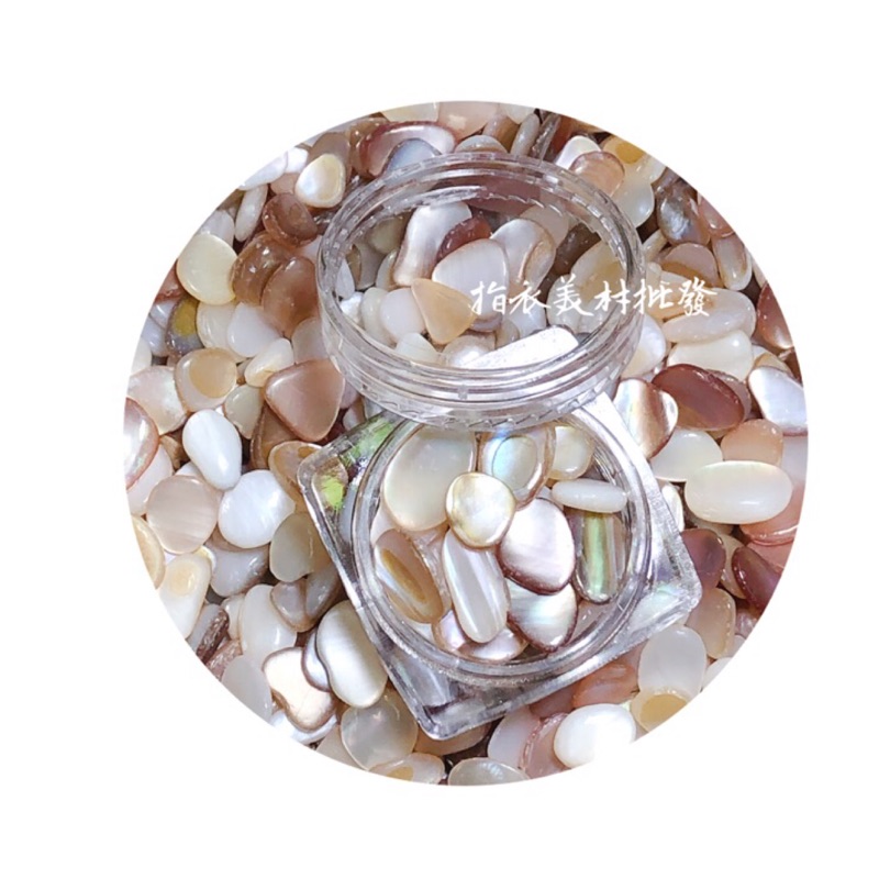 日系 貝殼碎石 美甲飾品 貝殼片 鮑魚片 手作 DIY 滴膠 貝殼石 貝殼石片 微景觀 貝殼造景