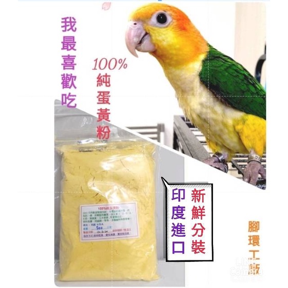 【腳環工廠】100%純蛋黃粉 分裝(100g、300g、500g) ~鳥禽，小寵物都適合吃。