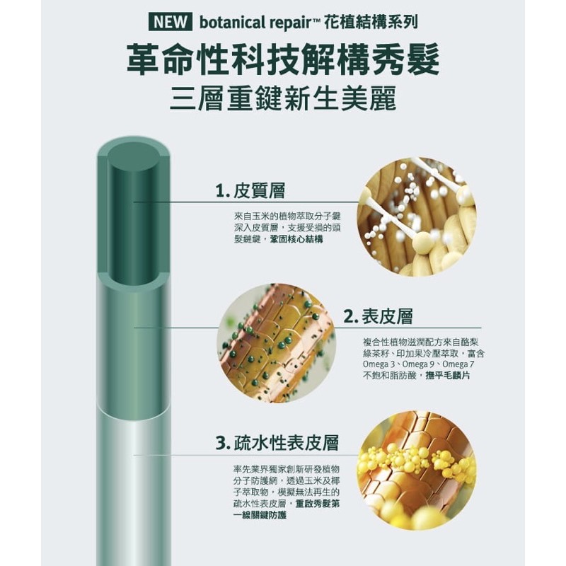 Aveda花植結構洗髮精潤髮乳重鍵精華重鍵護髮膜 蝦皮購物