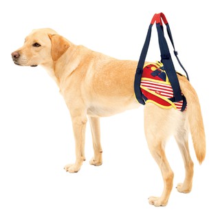 LaLaWalk 小型犬/中型犬/大型犬步行輔助褲預防尿布移位-花朵
