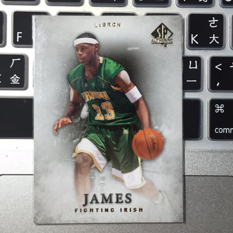 fighting irish lebron