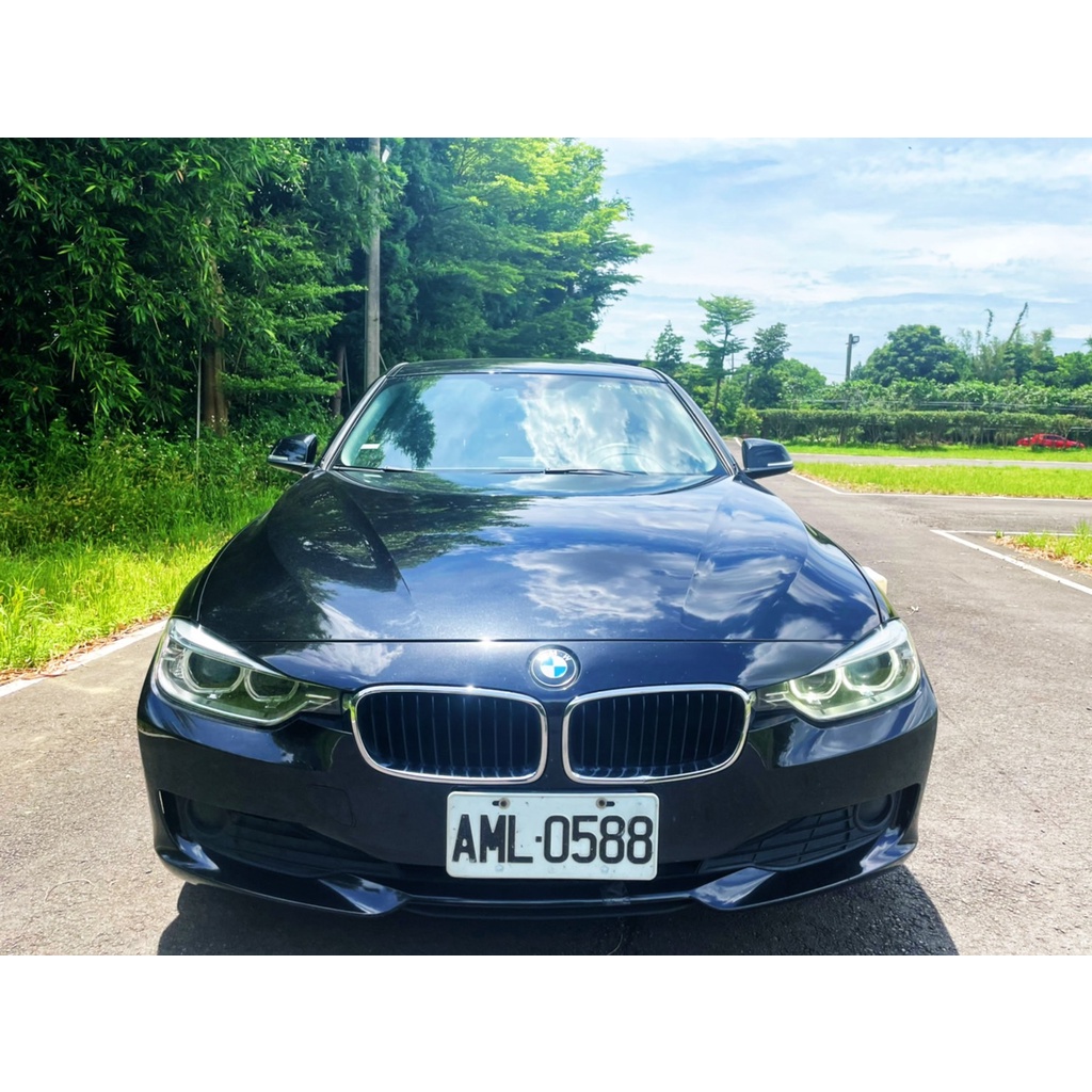2014 BMW Series 316i