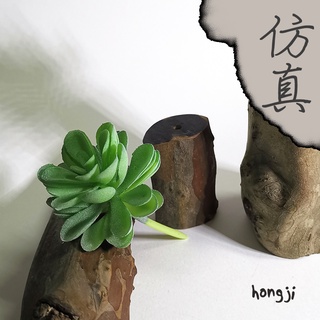 多肉 模擬多肉 P90 微景觀 假多肉植物 居家裝飾辦公室小物商店擺飾生日禮物拍照道具木頭底座咖啡屋盆栽