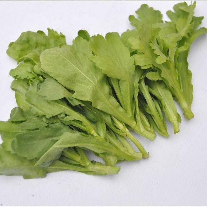【蔬菜種子S060】大葉茼蒿~葉色嫩黃，葉片闊大，水份多，少纖維質，品質最佳。
