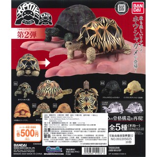 [宅喵玩具]全新現貨 BANDAI 轉蛋 扭蛋 可動烏龜造型轉蛋P2 第二彈 烏龜 造型轉蛋 環保扭蛋 可動