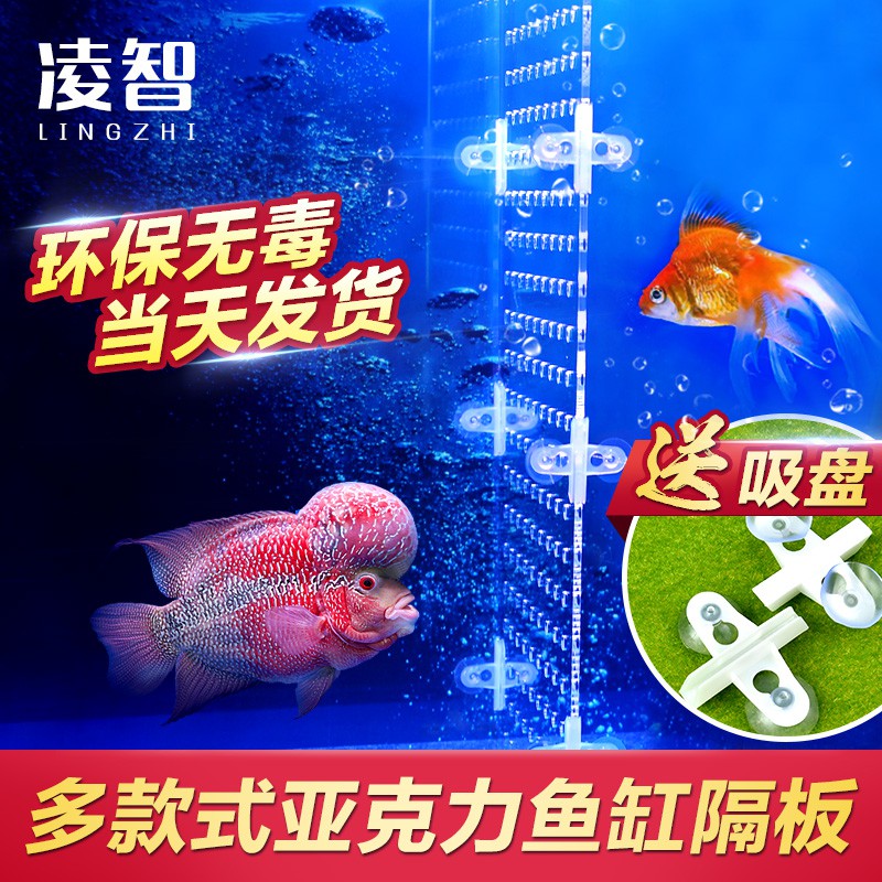 防塵盒 熱銷凌智足厚亞克力魚缸板隔離板魚苗隔離板蓋板魚缸隔板隔離網擋板 蝦皮購物