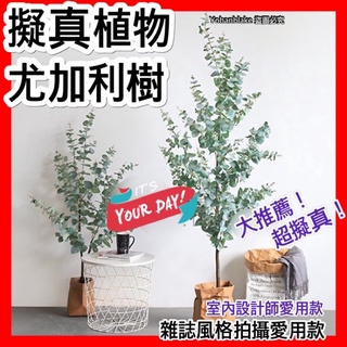 ❤️宅配免運費❤️民雄出貨❤️假樹 假植物 尤加利模擬綠植大型擺件家居裝飾尤加利樹白綠色盆栽