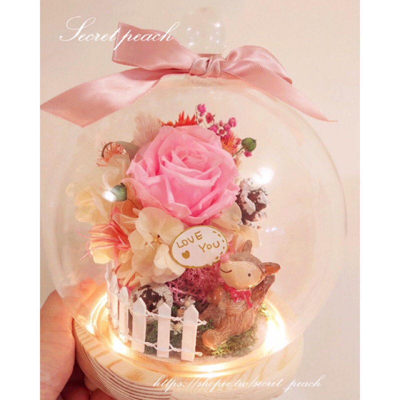 現貨secret Peach 松鼠庭園 永生花夜燈玻璃盅永生玫瑰花松鼠玻璃球乾燥花玻璃球 蝦皮購物