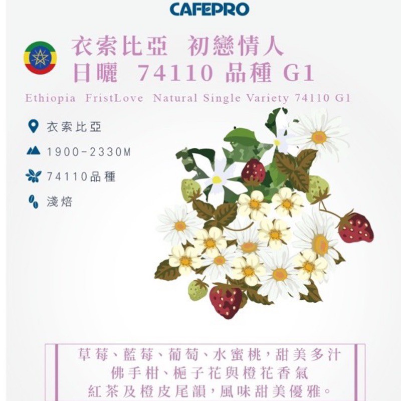 [CAFEPRO]衣索比亞 #74110單一品種 初戀情人G1日曬 淺焙豆 半磅裝