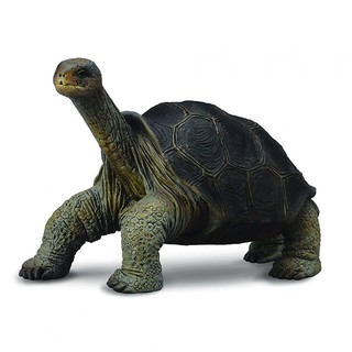 COLLECTA動物模型 - 平塔島象龜 < JOYBUS >